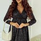 Black Glitter Mesh Overlay V Neck Long Sleeve Dress